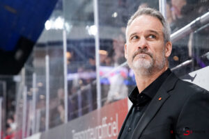 hockey sur glace (synerglace ligue magnus journée 12) : gothiques d’amiens v boxers de bordeaux