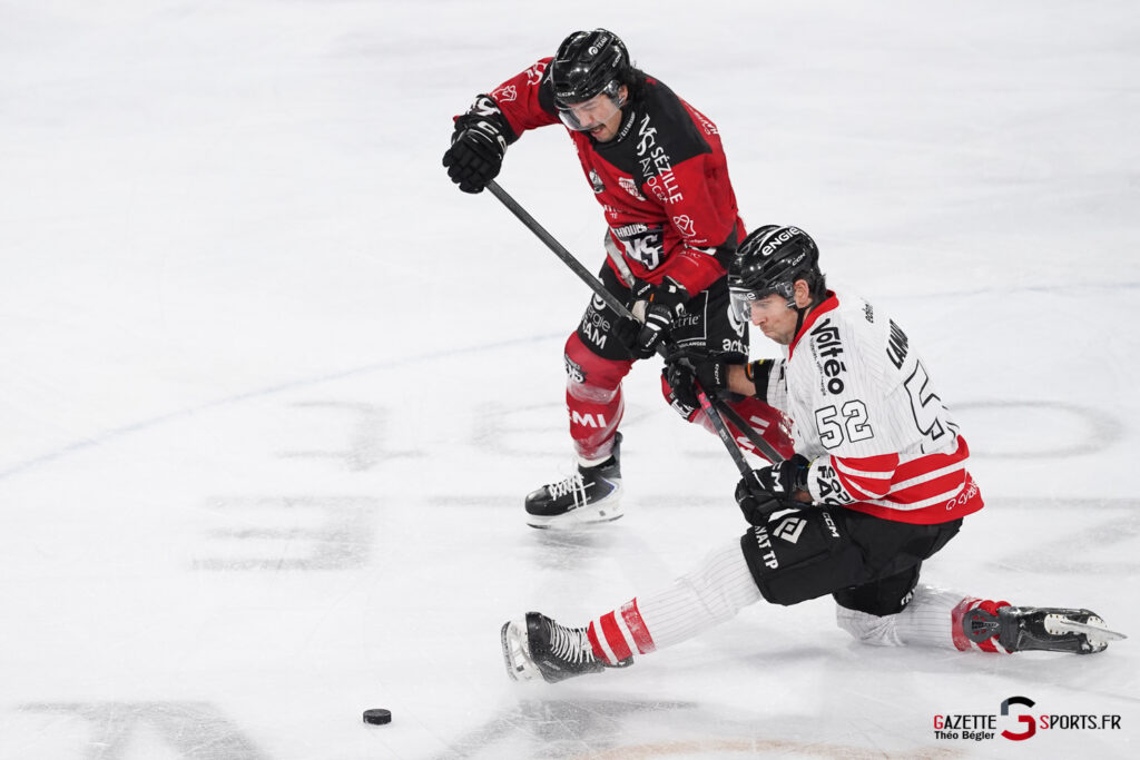 hockey sur glace (synerglace ligue magnus journ&eacute;e 12) : gothiques d&rsquo;amiens v boxers de bordeaux