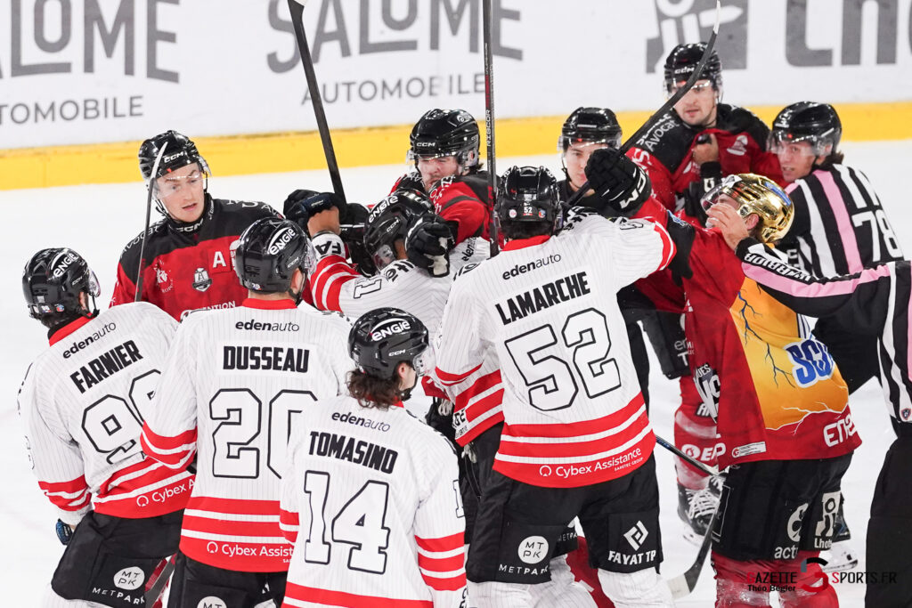 hockey sur glace (synerglace ligue magnus journ&eacute;e 12) : gothiques d&rsquo;amiens v boxers de bordeaux