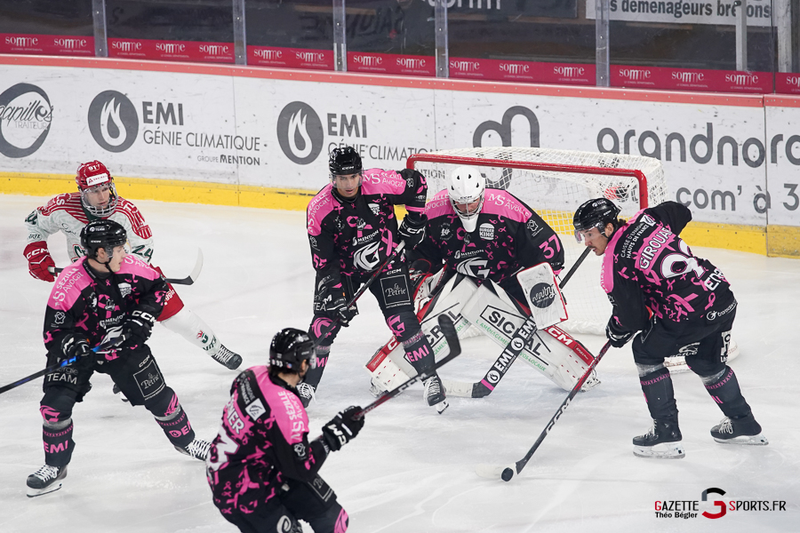 hockey sur glace (synerglace ligue magnus journée 8) : gothiques d’amiens v jokers de cergy pontoise