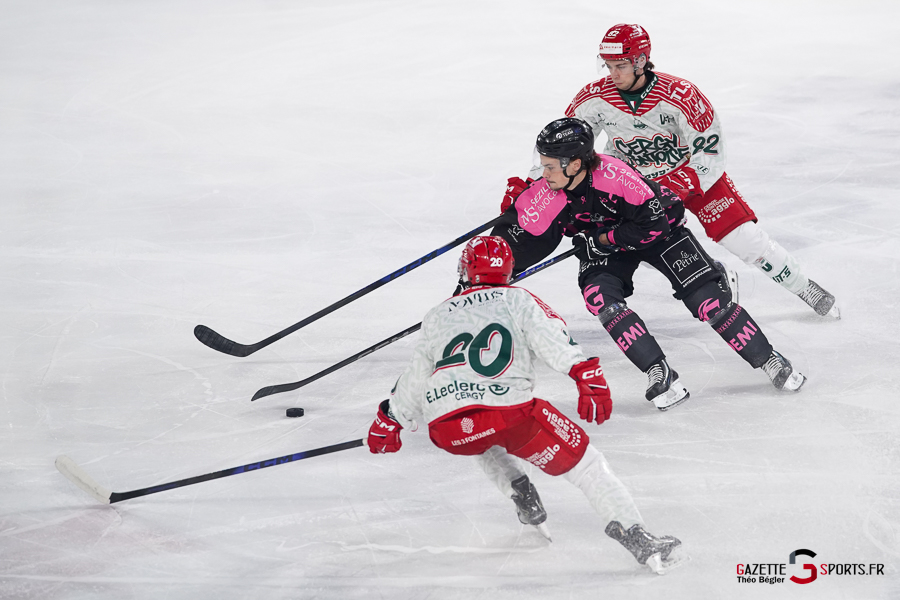hockey sur glace (synerglace ligue magnus journée 8) : gothiques d’amiens v jokers de cergy pontoise