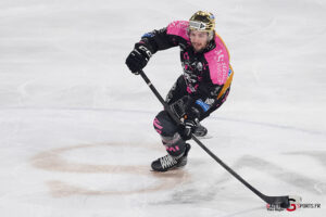 hockey sur glace (synerglace ligue magnus journée 8) : gothiques d’amiens v jokers de cergy pontoise