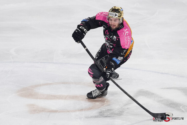 hockey sur glace (synerglace ligue magnus journée 8) : gothiques d’amiens v jokers de cergy pontoise