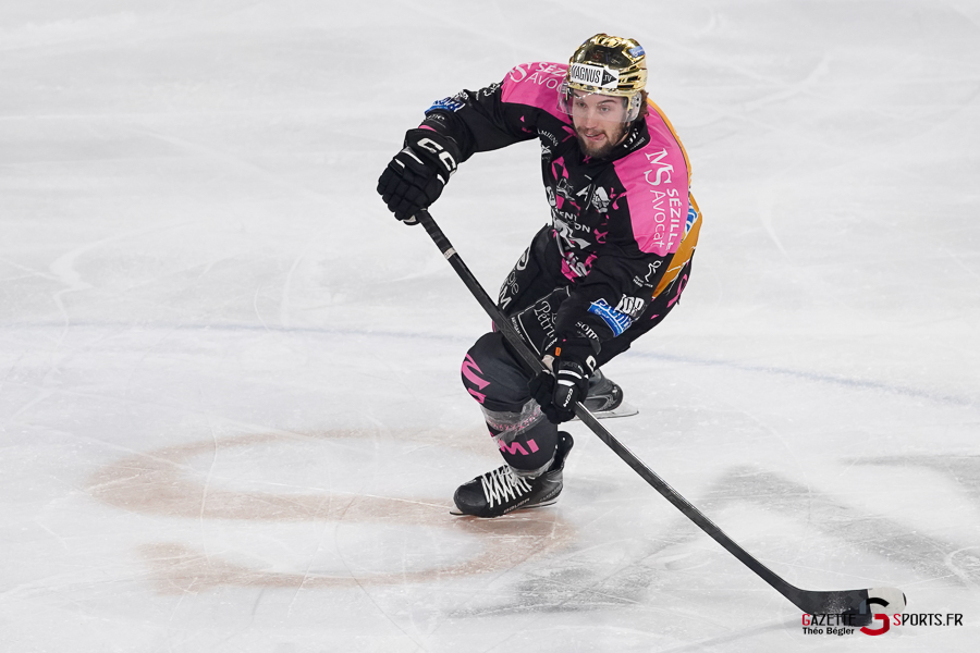 hockey sur glace (synerglace ligue magnus journée 8) : gothiques d’amiens v jokers de cergy pontoise