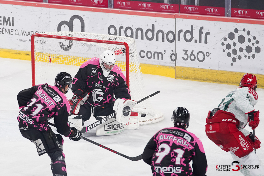 hockey sur glace (synerglace ligue magnus journée 8) : gothiques d’amiens v jokers de cergy pontoise
