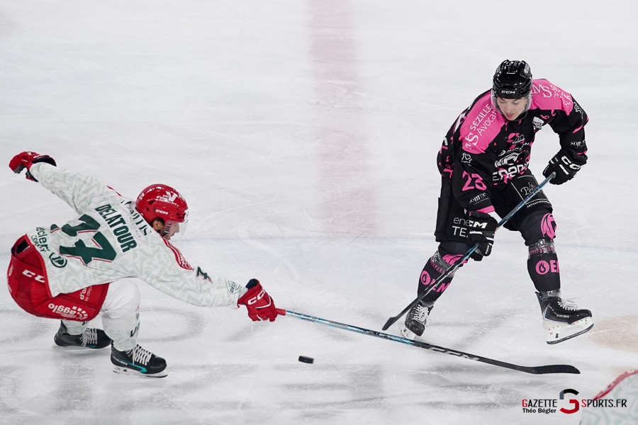 hockey sur glace (synerglace ligue magnus journée 8) : gothiques d’amiens v jokers de cergy pontoise
