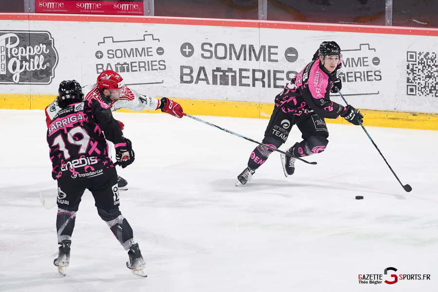 hockey sur glace (synerglace ligue magnus journée 8) : gothiques d’amiens v jokers de cergy pontoise