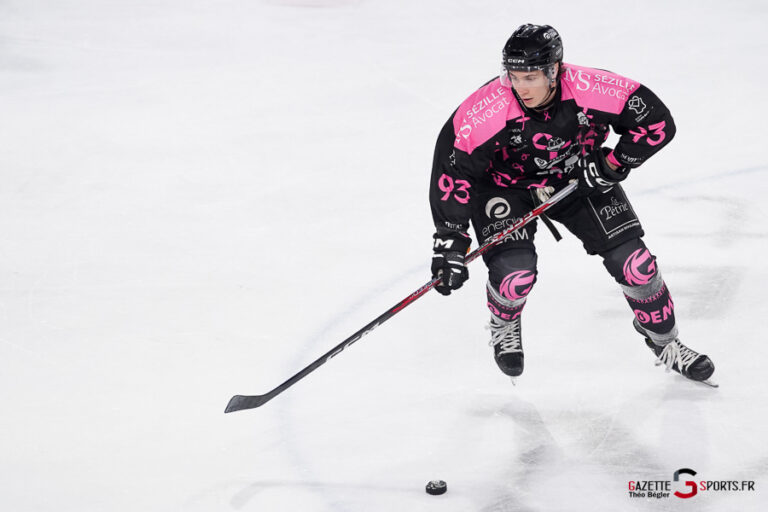 hockey sur glace (synerglace ligue magnus journée 8) : gothiques d’amiens v jokers de cergy pontoise