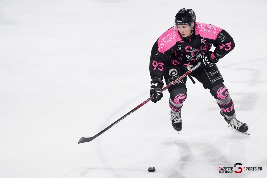 hockey sur glace (synerglace ligue magnus journée 8) : gothiques d’amiens v jokers de cergy pontoise
