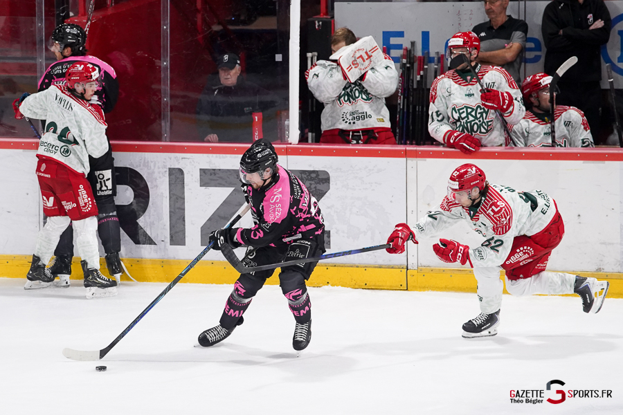 hockey sur glace (synerglace ligue magnus journée 8) : gothiques d’amiens v jokers de cergy pontoise