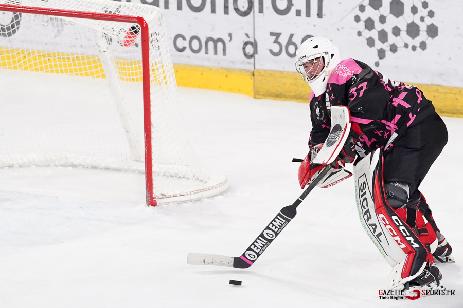 hockey sur glace (synerglace ligue magnus journée 8) : gothiques d’amiens v jokers de cergy pontoise