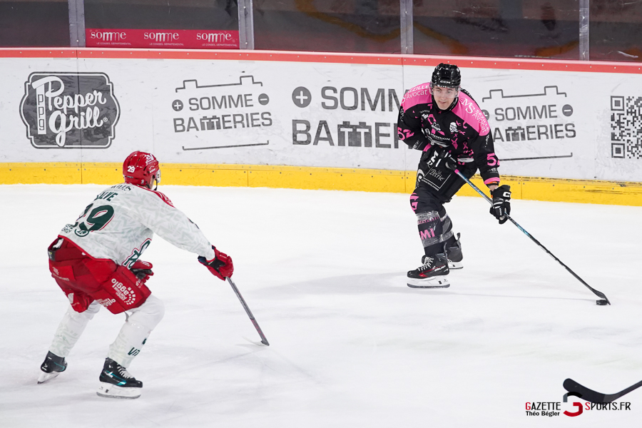 hockey sur glace (synerglace ligue magnus journée 8) : gothiques d’amiens v jokers de cergy pontoise