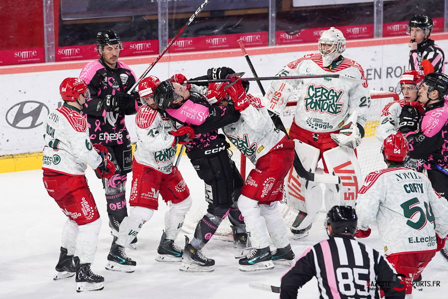 hockey sur glace (synerglace ligue magnus journée 8) : gothiques d’amiens v jokers de cergy pontoise
