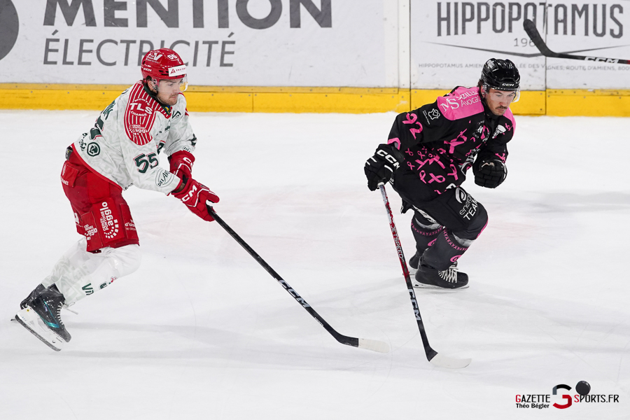 hockey sur glace (synerglace ligue magnus journée 8) : gothiques d’amiens v jokers de cergy pontoise