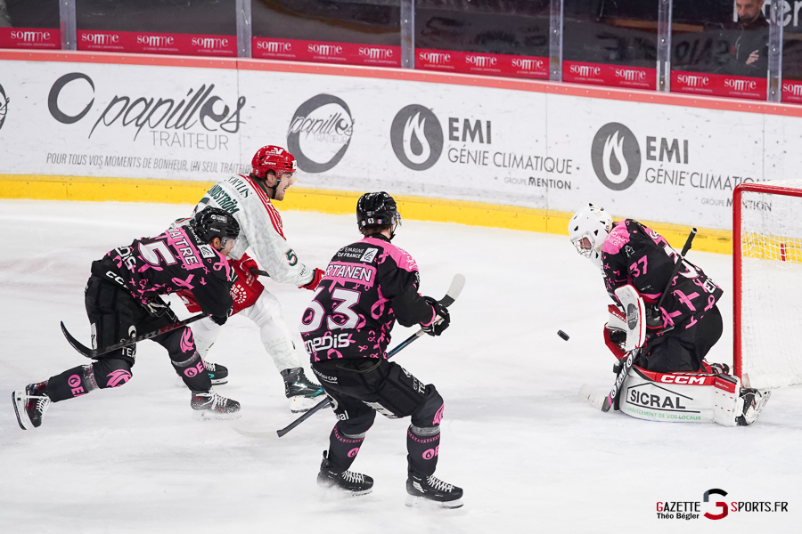 hockey sur glace (synerglace ligue magnus journée 8) : gothiques d’amiens v jokers de cergy pontoise