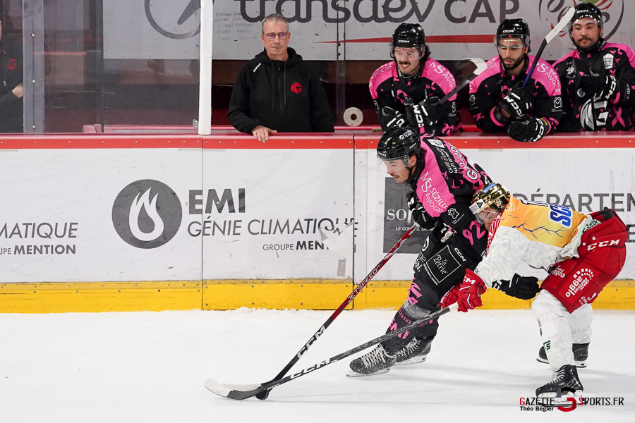 hockey sur glace (synerglace ligue magnus journée 8) : gothiques d’amiens v jokers de cergy pontoise