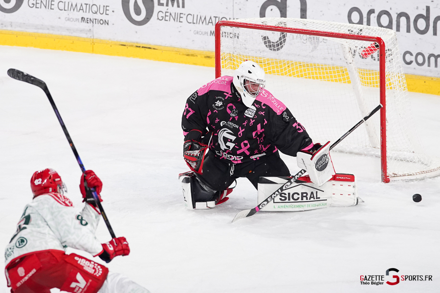 hockey sur glace (synerglace ligue magnus journée 8) : gothiques d’amiens v jokers de cergy pontoise