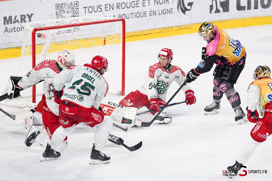 hockey sur glace (synerglace ligue magnus journée 8) : gothiques d’amiens v jokers de cergy pontoise
