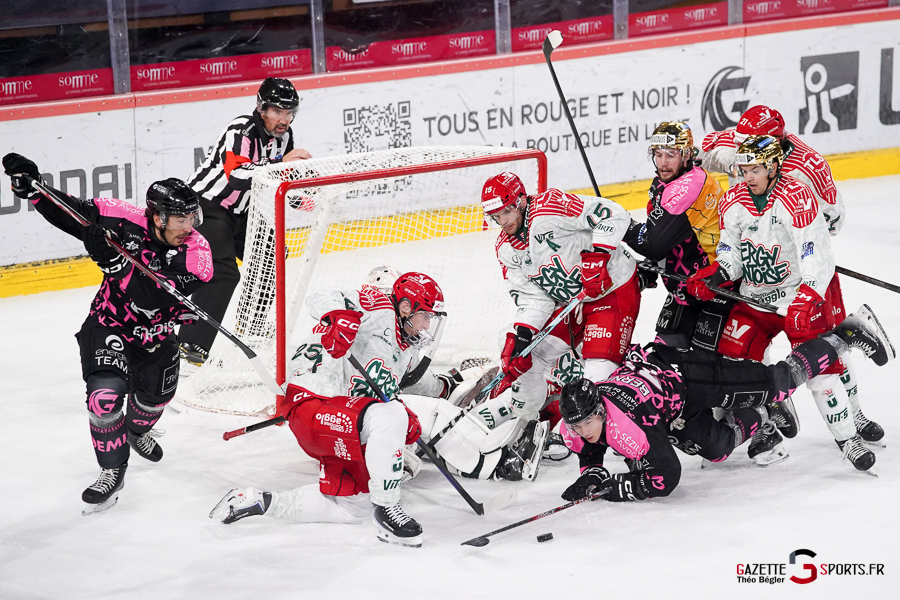 hockey sur glace (synerglace ligue magnus journée 8) : gothiques d’amiens v jokers de cergy pontoise