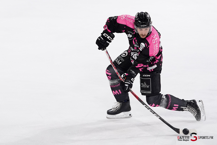 hockey sur glace (synerglace ligue magnus journée 8) : gothiques d’amiens v jokers de cergy pontoise