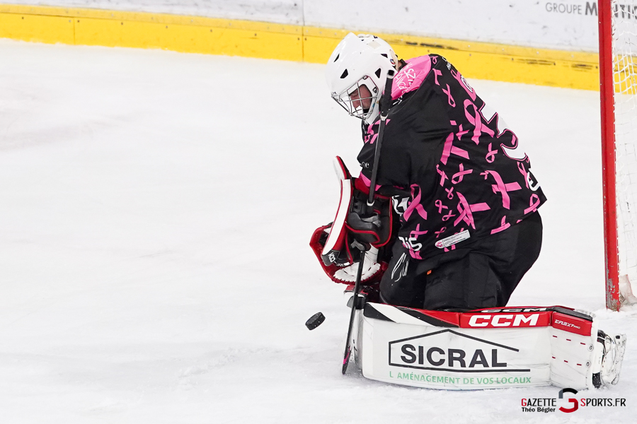 hockey sur glace (synerglace ligue magnus journée 8) : gothiques d’amiens v jokers de cergy pontoise