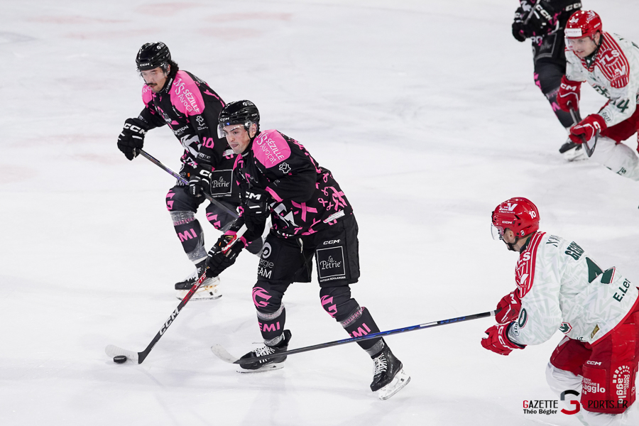 hockey sur glace (synerglace ligue magnus journée 8) : gothiques d’amiens v jokers de cergy pontoise