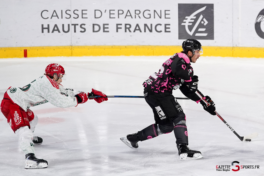hockey sur glace (synerglace ligue magnus journée 8) : gothiques d’amiens v jokers de cergy pontoise