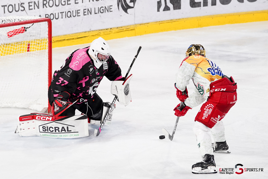 hockey sur glace (synerglace ligue magnus journée 8) : gothiques d’amiens v jokers de cergy pontoise