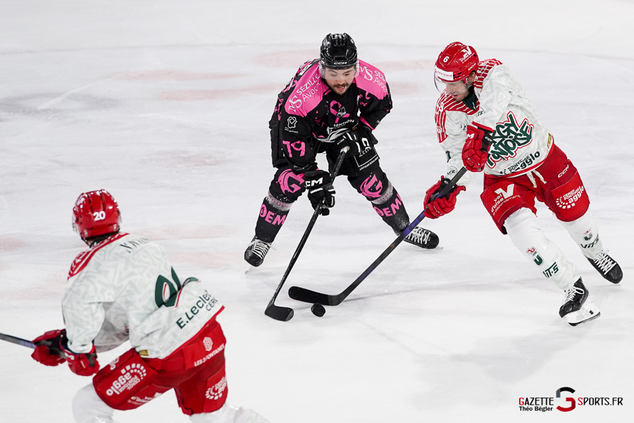 hockey sur glace (synerglace ligue magnus journée 8) : gothiques d’amiens v jokers de cergy pontoise