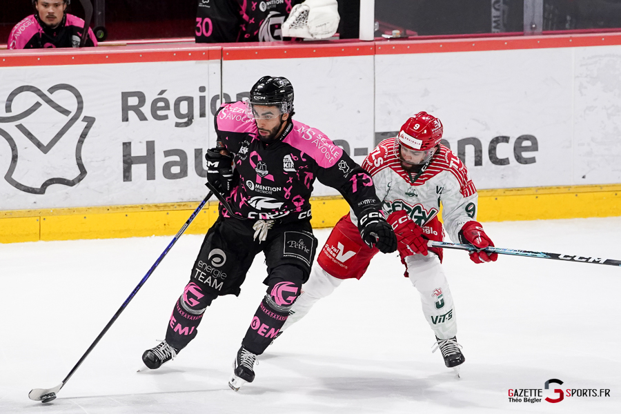 hockey sur glace (synerglace ligue magnus journée 8) : gothiques d’amiens v jokers de cergy pontoise