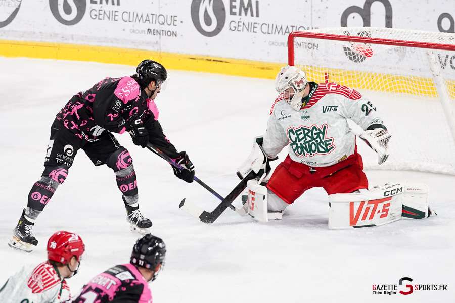 hockey sur glace (synerglace ligue magnus journée 8) : gothiques d’amiens v jokers de cergy pontoise