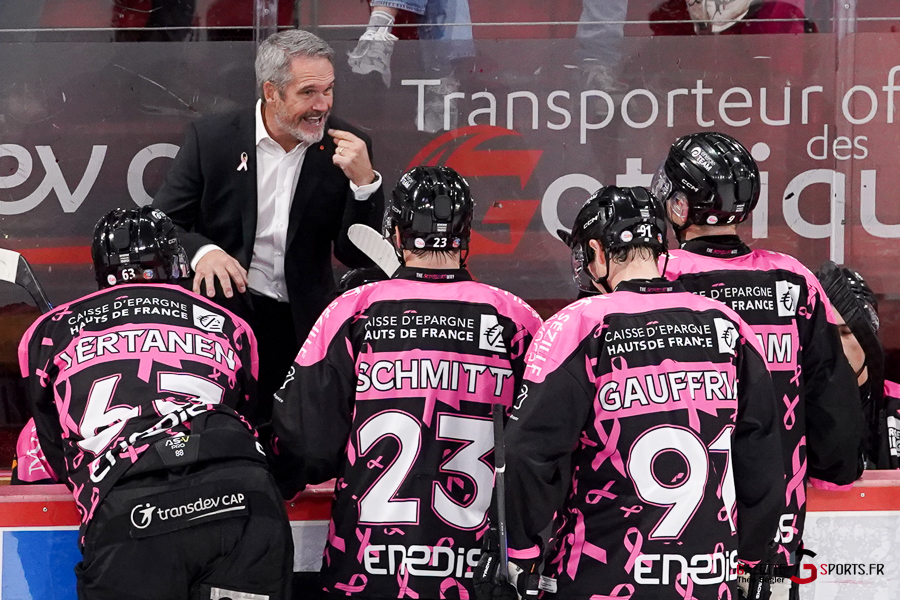 hockey sur glace (synerglace ligue magnus journée 8) : gothiques d’amiens v jokers de cergy pontoise