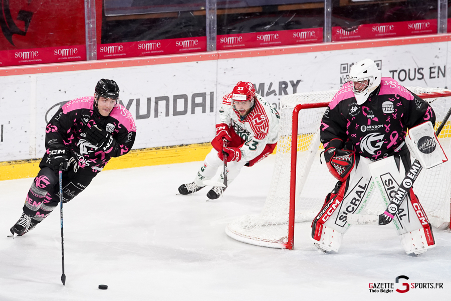hockey sur glace (synerglace ligue magnus journée 8) : gothiques d’amiens v jokers de cergy pontoise