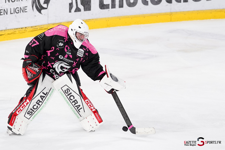 hockey sur glace (synerglace ligue magnus journée 8) : gothiques d’amiens v jokers de cergy pontoise