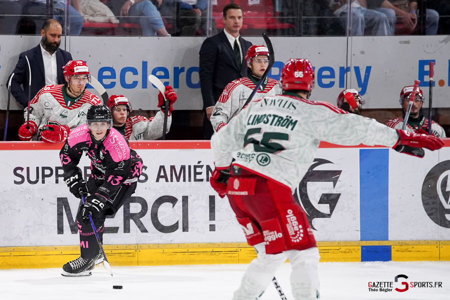 hockey sur glace (synerglace ligue magnus journée 8) : gothiques d’amiens v jokers de cergy pontoise