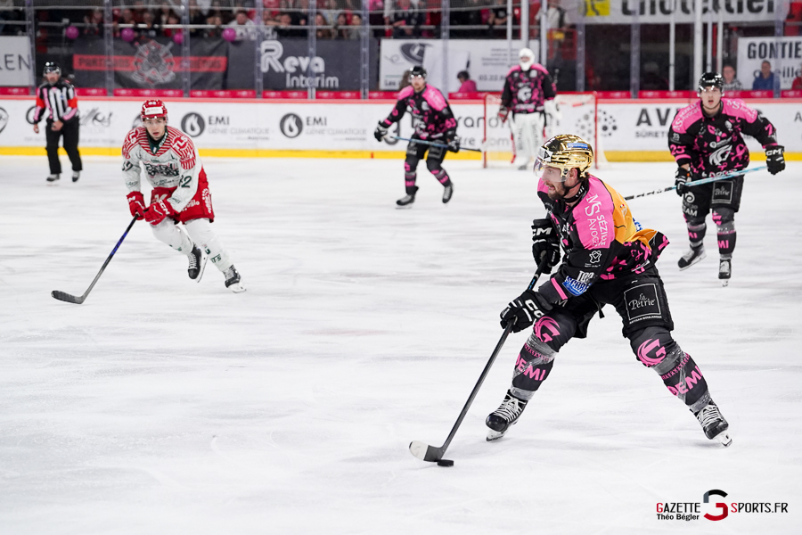 hockey sur glace (synerglace ligue magnus journée 8) : gothiques d’amiens v jokers de cergy pontoise