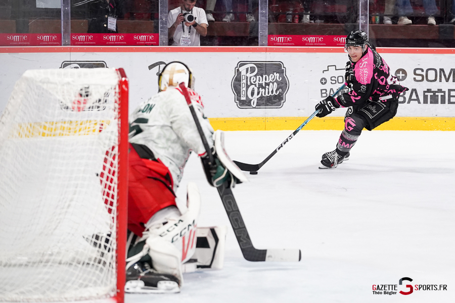 hockey sur glace (synerglace ligue magnus journée 8) : gothiques d’amiens v jokers de cergy pontoise