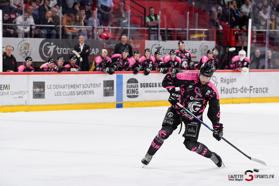 hockey sur glace (synerglace ligue magnus journée 8) : gothiques d’amiens v jokers de cergy pontoise