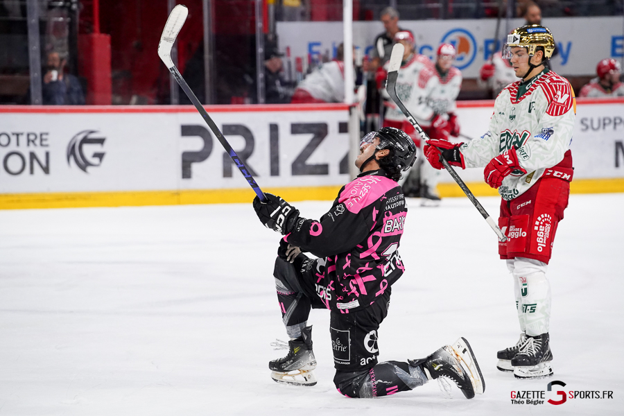 hockey sur glace (synerglace ligue magnus journée 8) : gothiques d’amiens v jokers de cergy pontoise