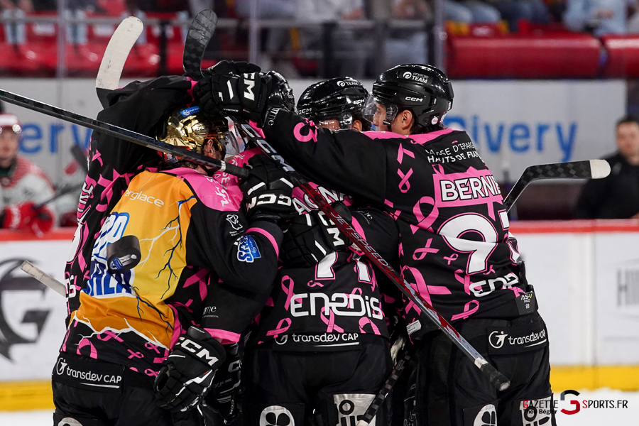hockey sur glace (synerglace ligue magnus journée 8) : gothiques d’amiens v jokers de cergy pontoise
