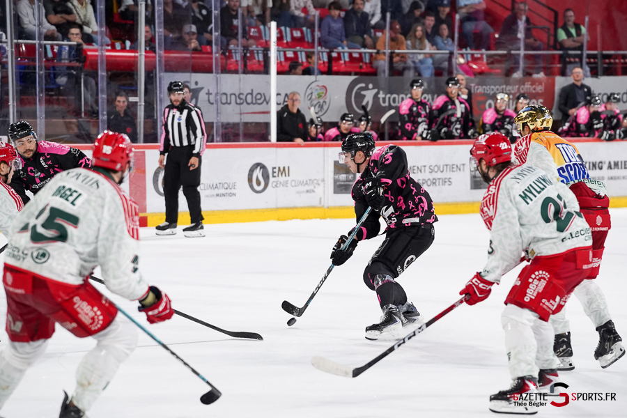 hockey sur glace (synerglace ligue magnus journée 8) : gothiques d’amiens v jokers de cergy pontoise
