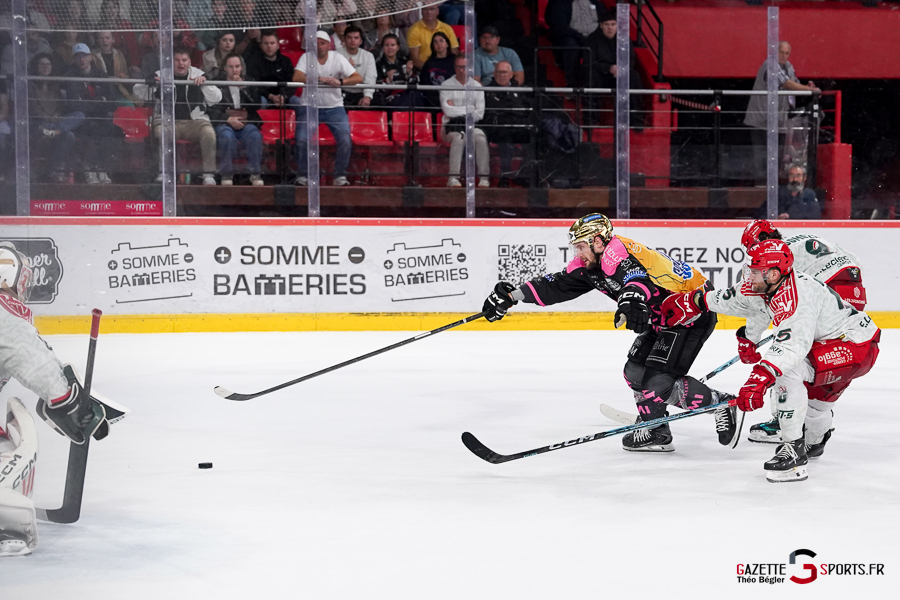 hockey sur glace (synerglace ligue magnus journée 8) : gothiques d’amiens v jokers de cergy pontoise