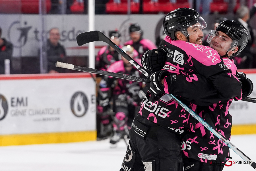 hockey sur glace (synerglace ligue magnus journée 8) : gothiques d’amiens v jokers de cergy pontoise