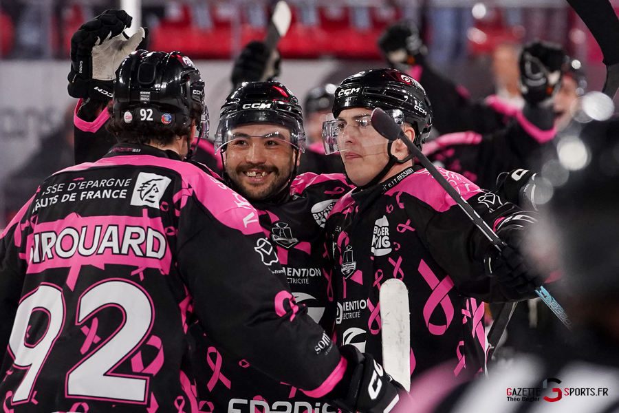 hockey sur glace (synerglace ligue magnus journée 8) : gothiques d’amiens v jokers de cergy pontoise