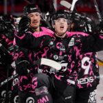 hockey sur glace (synerglace ligue magnus journée 8) : gothiques d’amiens v jokers de cergy pontoise