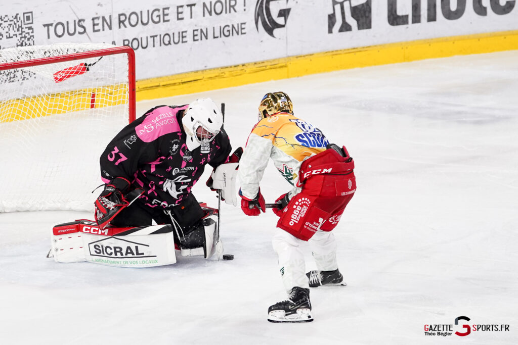 hockey sur glace (synerglace ligue magnus journée 8) : gothiques d’amiens v jokers de cergy pontoise