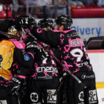 hockey sur glace (synerglace ligue magnus journée 8) : gothiques d’amiens v jokers de cergy pontoise