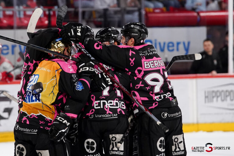 hockey sur glace (synerglace ligue magnus journée 8) : gothiques d’amiens v jokers de cergy pontoise