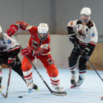 roller hockey (nationale 1 journée 4) : Écureuils d’amiens v spiders de rouen
